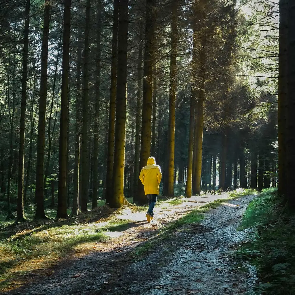 Spaziergänger im Wald